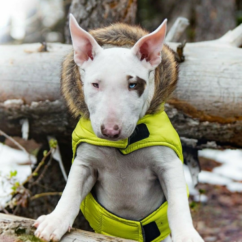 Meet your Posher, Kayla